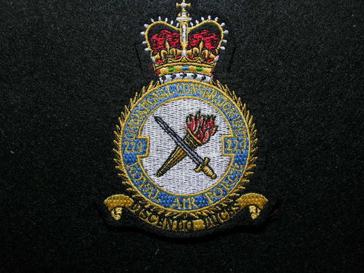 RAF 229 Squadron 