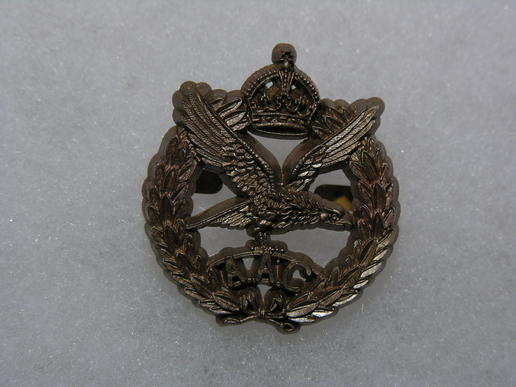 WWII Army Air Corps Cap Badge in Plastic