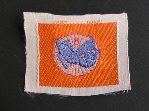 ARVN Army 8th Para Airborne 