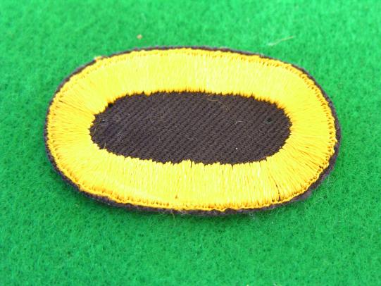 U.S.Army 541st Parachute Infantry Oval