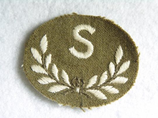 British Surveyor Trade Badge