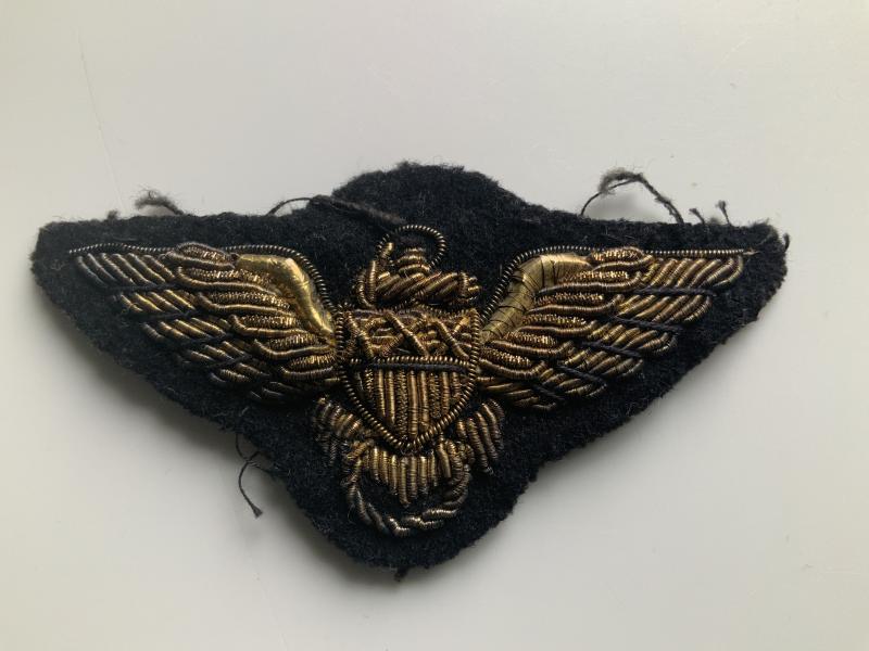 WWII United States Navy Pilot